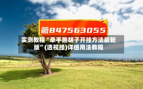 实测教程“牵手跑胡子开挂方法最新版”(透视挂)详细用法教程-第1张图片