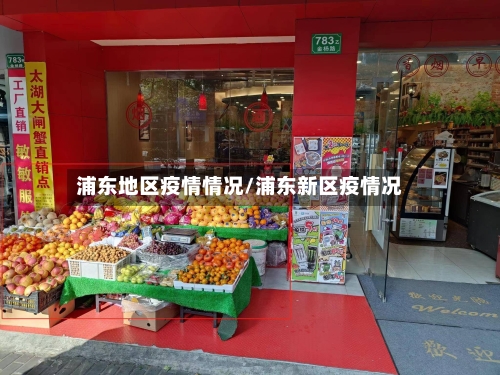 浦东地区疫情情况/浦东新区疫情况-第1张图片