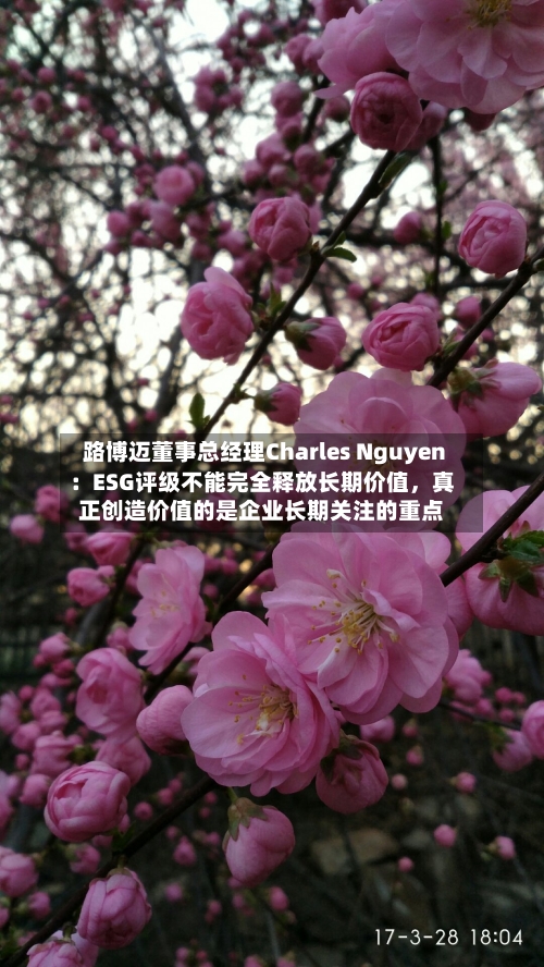 路博迈董事总经理Charles Nguyen：ESG评级不能完全释放长期价值，真正创造价值的是企业长期关注的重点-第1张图片