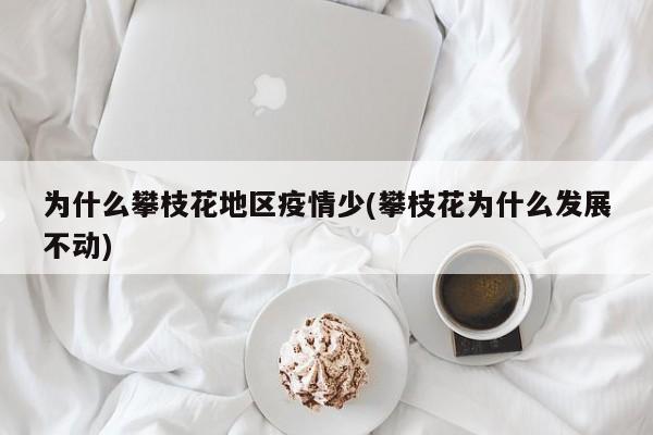 为什么攀枝花地区疫情少(攀枝花为什么发展不动)
