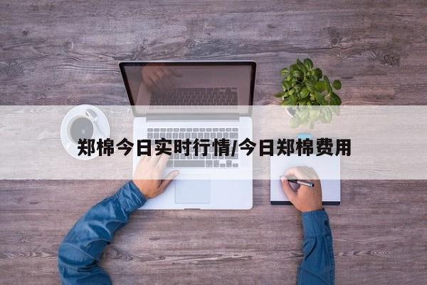 郑棉今日实时行情/今日郑棉费用