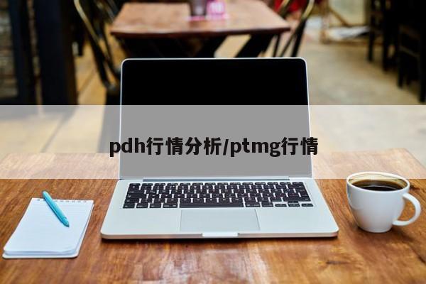pdh行情分析/ptmg行情