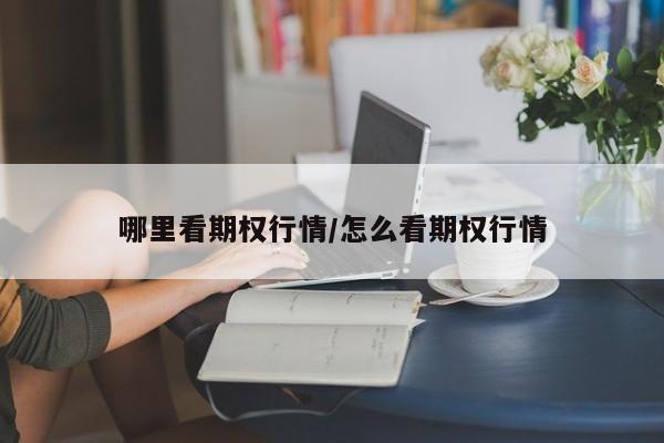 哪里看期权行情/怎么看期权行情